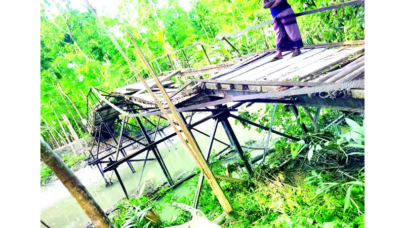 সেতু ভেঙে খালে, দুর্ভোগে ৫ গ্রামের মানুষ সেতু ভেঙে খালে, দুর্ভোগে ৫ গ্রামের মানুষ