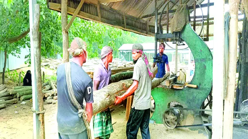 সখীপুরে বনাঞ্চল ঘিরে অবৈধ ৪২ করাতকল