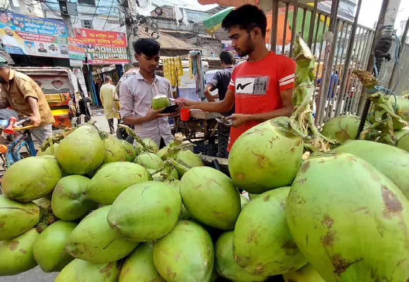 ডাবের পানিতে ক্লান্তি দূর ডাবের পানিতে ক্লান্তি দূর