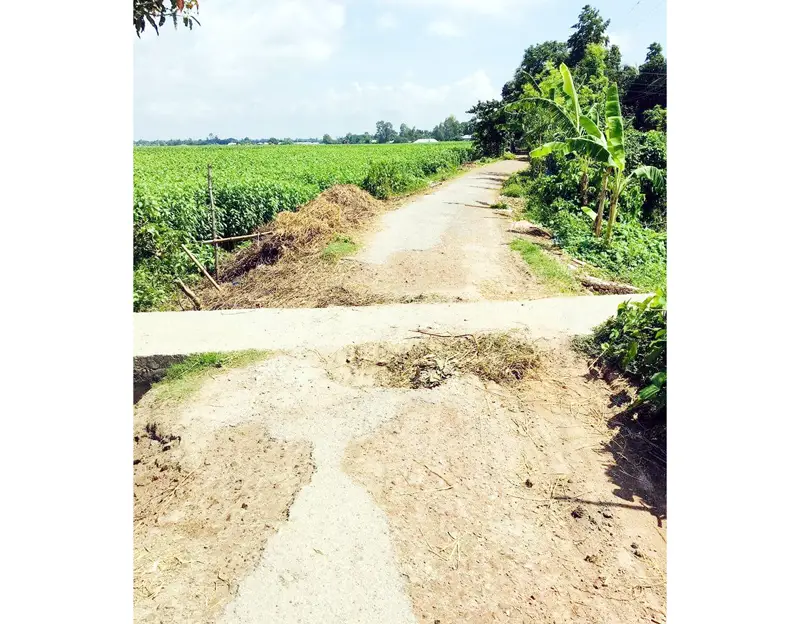 বেড়ায় সাত কিমি সড়কে চরম ভোগান্তি