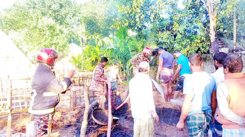 দুর্বৃত্তের আগুনে পুড়ল ৭ বিঘা জমির ধান দুর্বৃত্তের আগুনে পুড়ল ৭ বিঘা জমির ধান