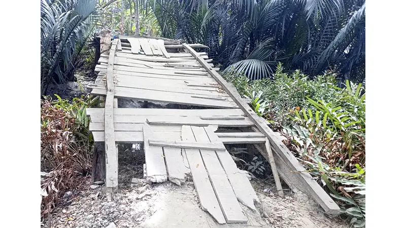 তিন গ্রামের মানুষের ভরসা ভাঙা কাঠের পুল তিন গ্রামের মানুষের ভরসা ভাঙা কাঠের পুল