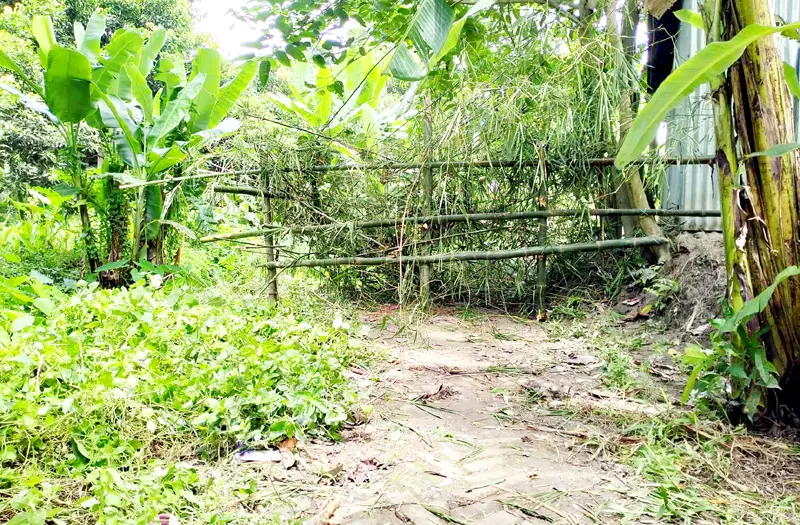 সরকারি রাস্তায় বেড়া, বন্দি অর্ধশত পরিবার সরকারি রাস্তায় বেড়া, বন্দি অর্ধশত পরিবার