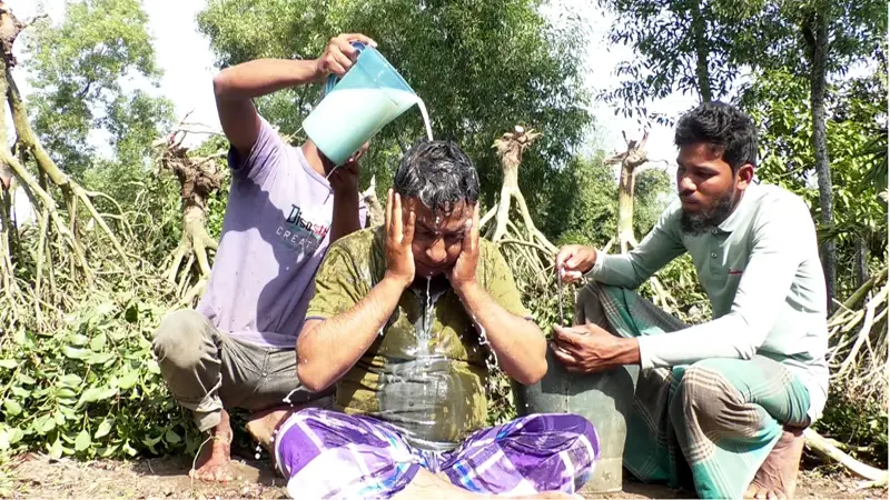 চা বাগান উপড়ে ফেলে দুধ দিয়ে গোসল চা বাগান উপড়ে ফেলে দুধ দিয়ে গোসল