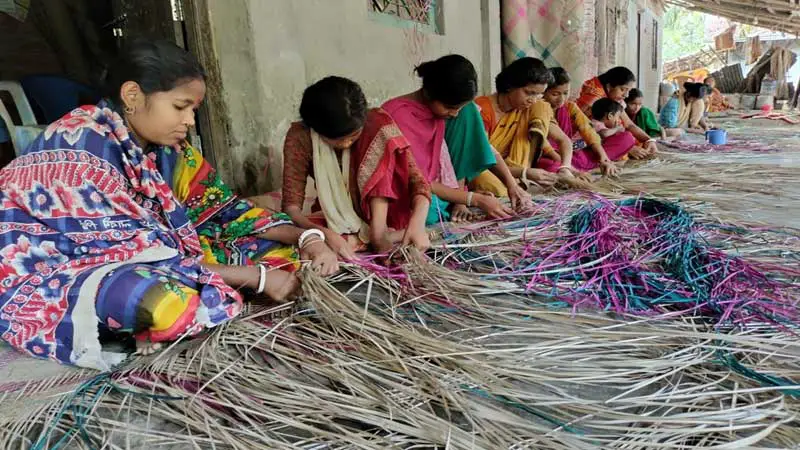 বাকেরগঞ্জে শীতল পাটি বুননে ব্যস্ত সময় কাটাচ্ছেন গ্রামের নারীরা