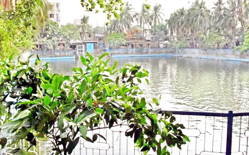 ঢাকার দিনরাত ঢাকার দিনরাত