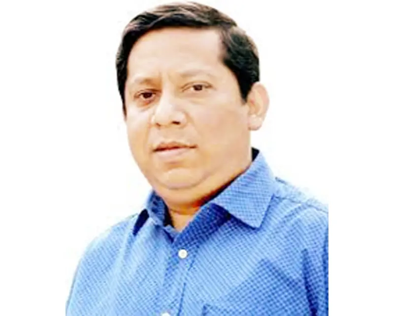 গুজবের ডালপালা গুজবের ডালপালা