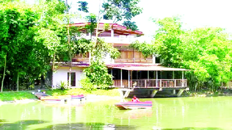 চোখ জুড়ানো পিকনিক স্পট চোখ জুড়ানো পিকনিক স্পট