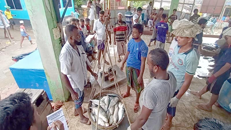 ৪৩-৪৪ কেজিতে মণ, ছয় দিনে হাতিয়ে নেয়া হয়েছে ১০০০ মণ ইলিশ ৪৩-৪৪ কেজিতে মণ, ছয় দিনে হাতিয়ে নেয়া হয়েছে ১০০০ মণ ইলিশ