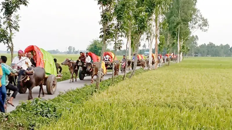 বাবার স্বপ্ন পূরণে গরুর গাড়িতে বিয়ে