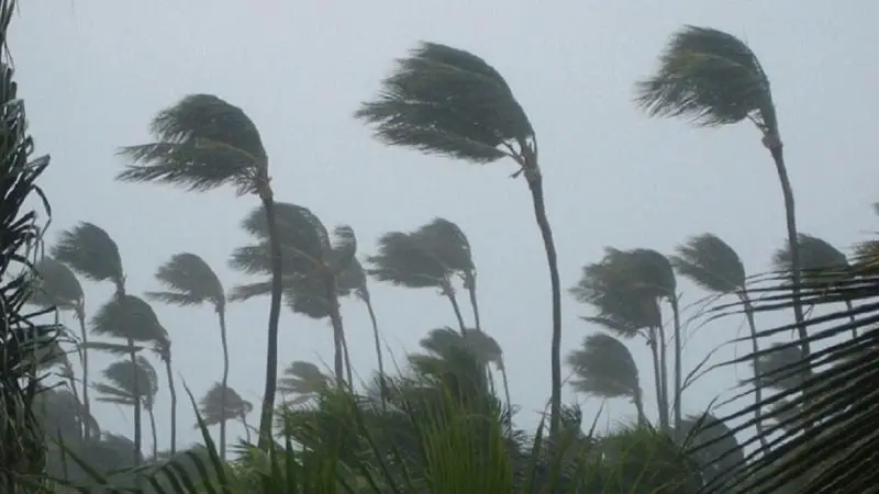 ১৬ জেলায় ঝড়ের পূর্বাভাস 