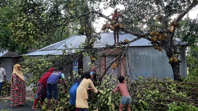 রায়গঞ্জে হঠাৎ ঝড়ে লন্ডভন্ড বাড়িঘর-গাছপালা