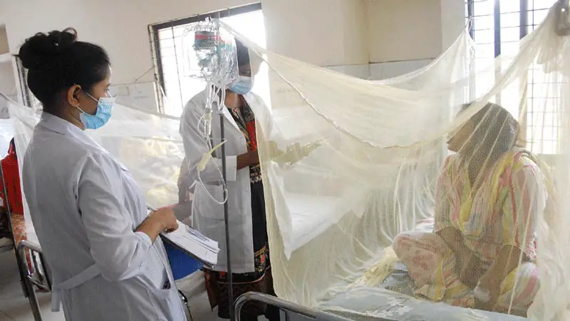 ডেঙ্গুতে আরো ১৪ মৃত্যু, হাসপাতালে ভর্তি ২৪২৫ ডেঙ্গুতে আরো ১৪ মৃত্যু, হাসপাতালে ভর্তি ২৪২৫