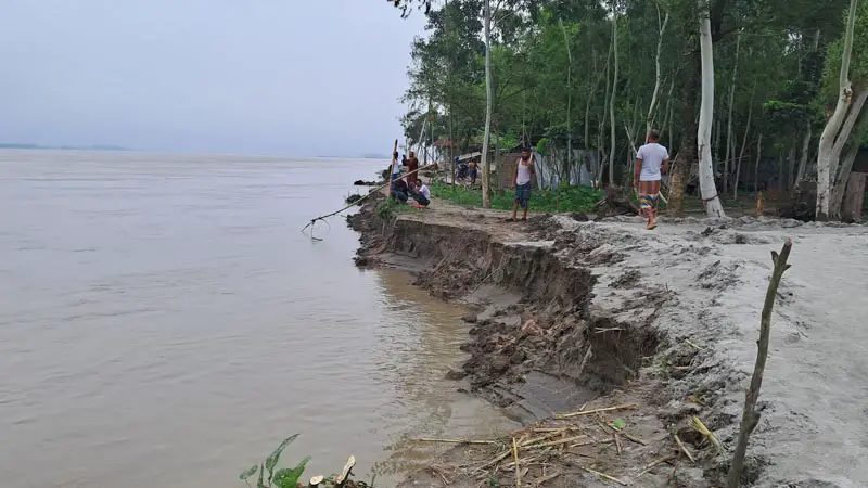 তিস্তার ভাঙনে বিলীন অর্ধশতাধিক বাড়ি তিস্তার ভাঙনে বিলীন অর্ধশতাধিক বাড়ি