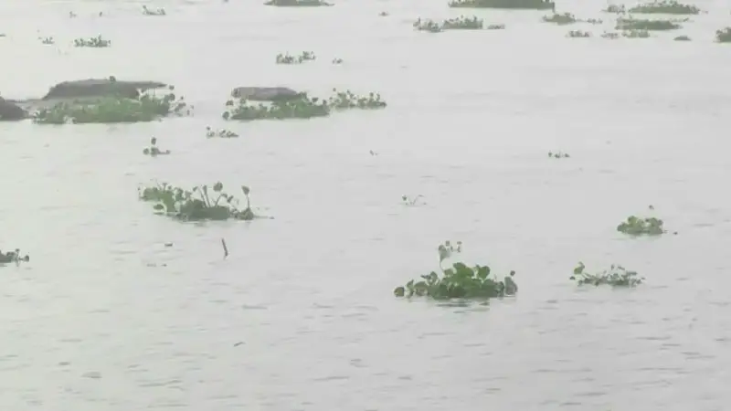 কুড়িগ্রামে বন্যার আশঙ্কা কুড়িগ্রামে বন্যার আশঙ্কা