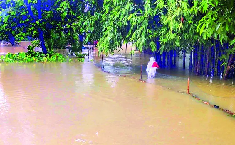 লালমনিরহাটের নিম্নাঞ্চল প্লাবিত লালমনিরহাটের নিম্নাঞ্চল প্লাবিত