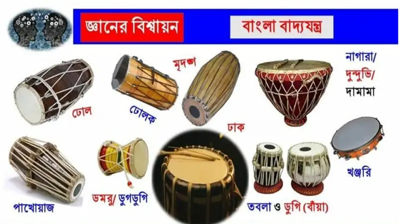 যেসব বাদ্যযন্ত্রে সঙ্গীত হয়ে উঠে প্রাণবন্ত যেসব বাদ্যযন্ত্রে সঙ্গীত হয়ে উঠে প্রাণবন্ত