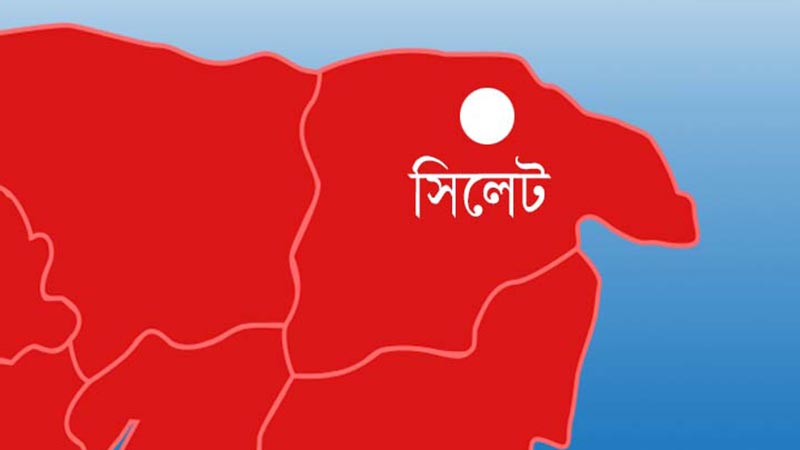 বাসের ধাক্কায় দুই কলেজ শিক্ষার্থী নিহত বাসের ধাক্কায় দুই কলেজ শিক্ষার্থী নিহত