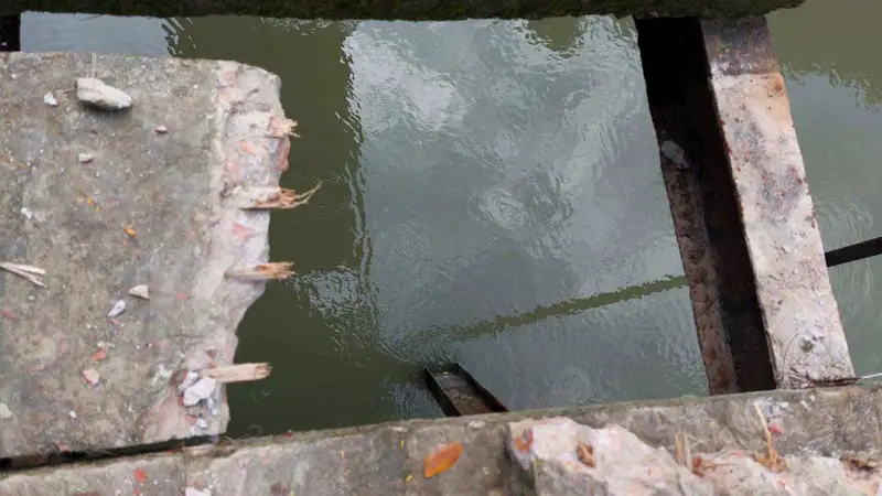 রডের পরিবর্তে সুপারি গাছ দিয়ে ব্রিজের স্লাব তৈরি