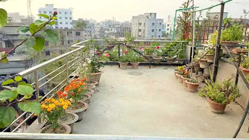 যে ৫ উপায়ে গাছের যত্ন নেবেন শীতকালে যে ৫ উপায়ে গাছের যত্ন নেবেন শীতকালে