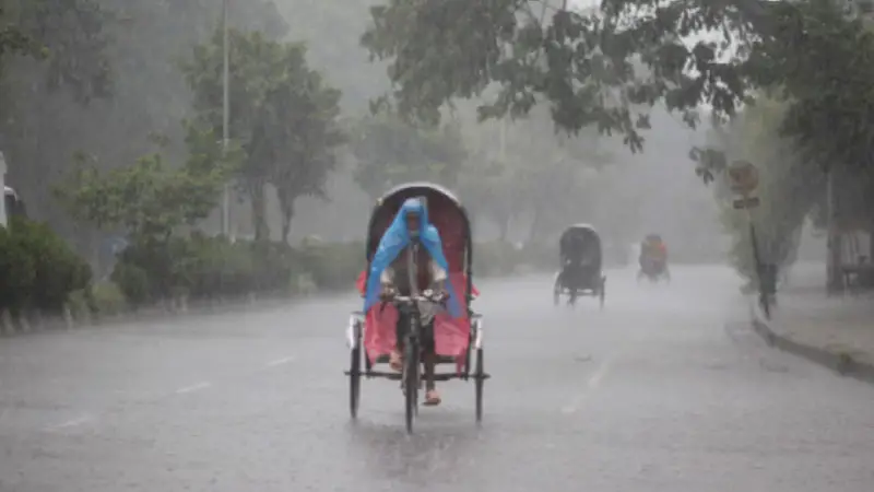 রিমঝিম বৃষ্টিমুখর স্নিগ্ধ সকালের শুরু, সারাদিনের কাজ সামলাবেন কীভাবে? রিমঝিম বৃষ্টিমুখর স্নিগ্ধ সকালের শুরু, সারাদিনের কাজ সামলাবেন কীভাবে?