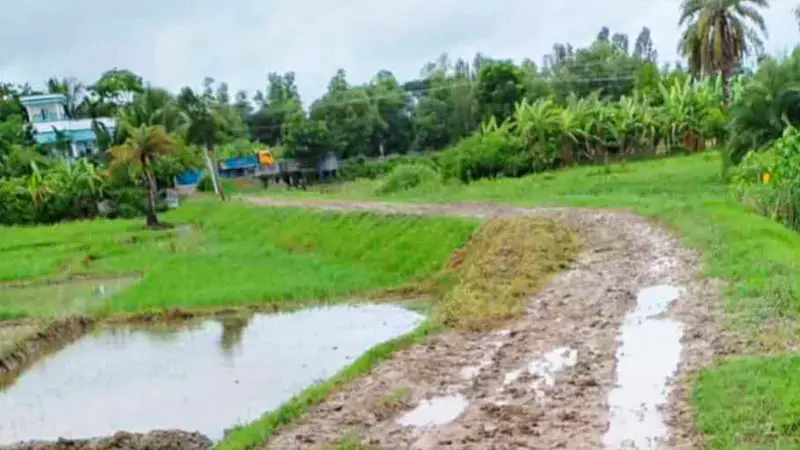 সংস্কার কাজে উদাসীনতা, ভোগান্তিতে পেকুয়ার পুরাদিয়া-বনকাননের হাজারো পথচারী সংস্কার কাজে উদাসীনতা, ভোগান্তিতে পেকুয়ার পুরাদিয়া-বনকাননের হাজারো পথচারী