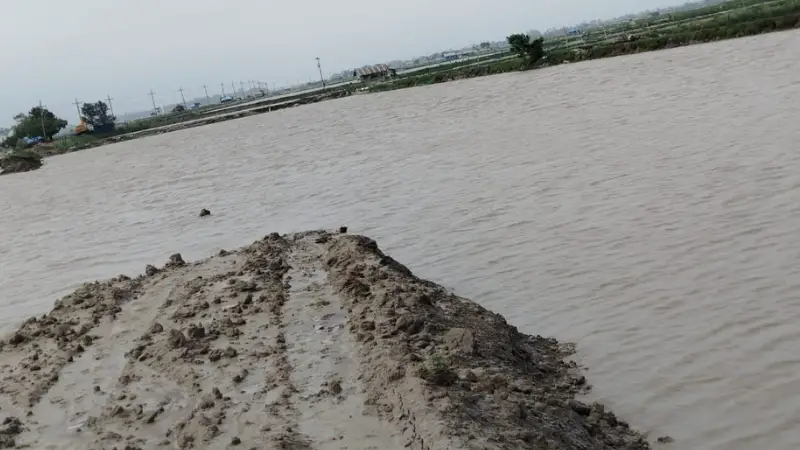ভারি বর্ষণ ও জোয়ারের পানিতে সিডিএসপি বাঁধ তলিয়ে গেছে