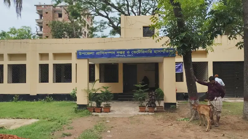 পশুরহাটে ভেটেরিনারি সেবা, কাগজে আছে, বাস্তবে নেই পশুরহাটে ভেটেরিনারি সেবা, কাগজে আছে, বাস্তবে নেই