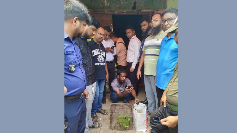 টিয়া পাখির জন্য ২৫ হাজার টাকা গুনলেন হাফিজুর! টিয়া পাখির জন্য ২৫ হাজার টাকা গুনলেন হাফিজুর!
