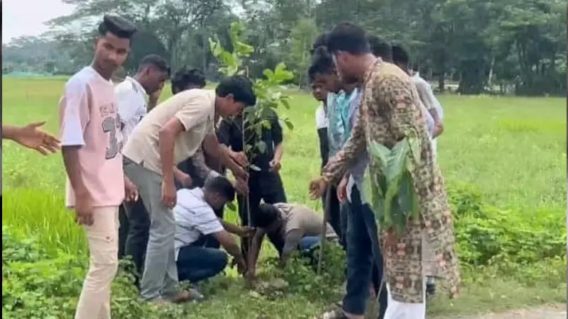 বাউফলে ফলজ ও বনজ বৃক্ষরোপণ করল ছাত্রদল বাউফলে ফলজ ও বনজ বৃক্ষরোপণ করল ছাত্রদল