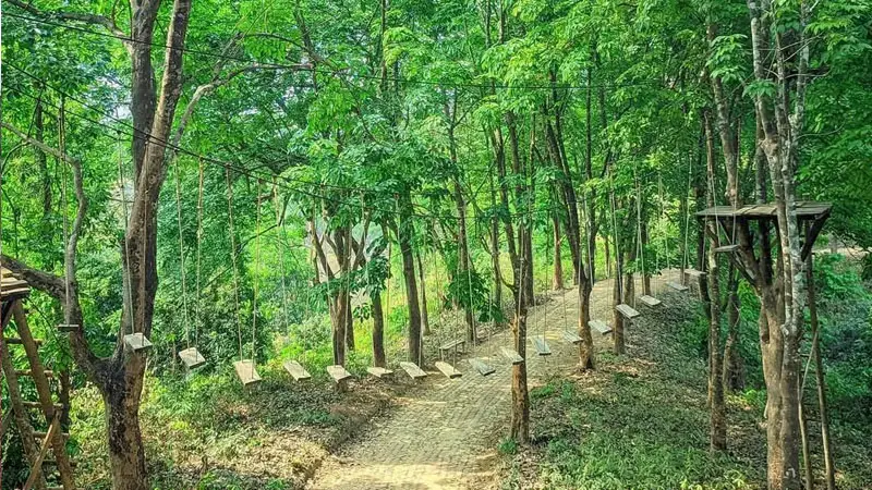 পরিবেশ রক্ষায় অনন্য অবদান, মানিকছড়ি পেল সেরা স্বীকৃতি পরিবেশ রক্ষায় অনন্য অবদান, মানিকছড়ি পেল সেরা স্বীকৃতি