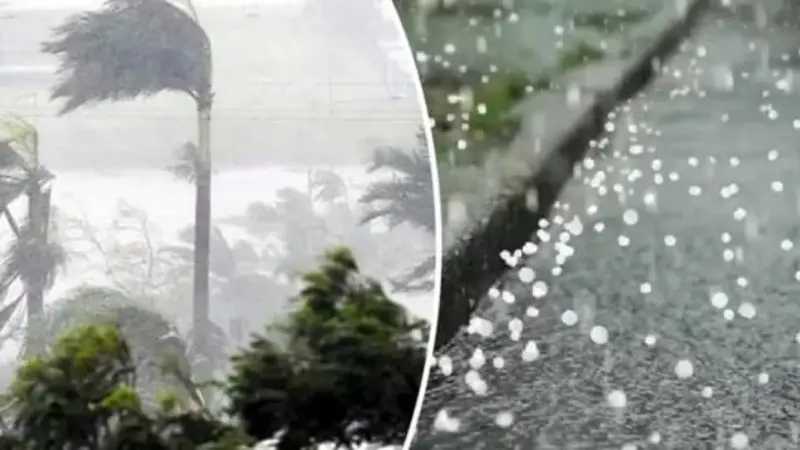দেশের ১০ অঞ্চলে তুমুল বেগে ঝড়সহ বজ্রবৃষ্টির আশঙ্কা দেশের ১০ অঞ্চলে তুমুল বেগে ঝড়সহ বজ্রবৃষ্টির আশঙ্কা