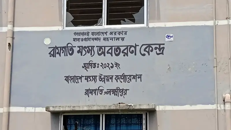 লক্ষ্মীপুরের নদীতে নেই ইলিশ, বিপাকে জেলে পরিবার লক্ষ্মীপুরের নদীতে নেই ইলিশ, বিপাকে জেলে পরিবার