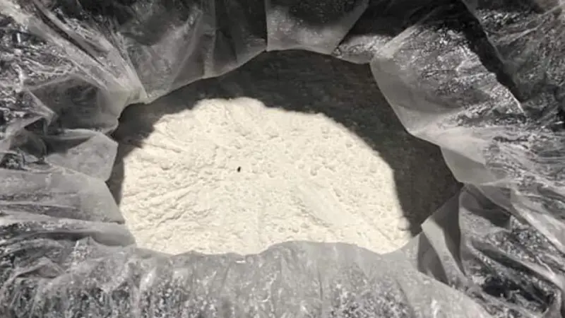 বিজিপি এর গোপন অভিযানে ৫ মণ ভায়াগ্রা পাউডার জব্দ বিজিপি এর গোপন অভিযানে ৫ মণ ভায়াগ্রা পাউডার জব্দ