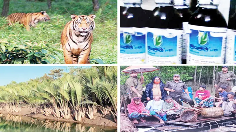 সুন্দরবনের প্রাণ-প্রকৃতি সুরক্ষার বিকল্প নেই সুন্দরবনের প্রাণ-প্রকৃতি সুরক্ষার বিকল্প নেই
