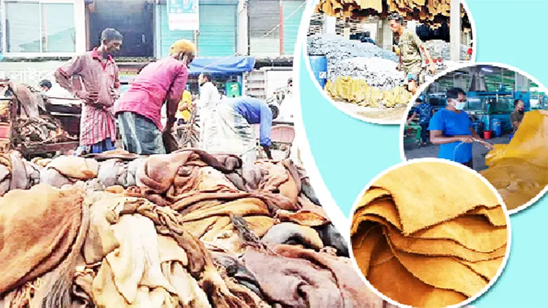 চামড়া শিল্পে বিপর্যয় ও আশার আলো চামড়া শিল্পে বিপর্যয় ও আশার আলো