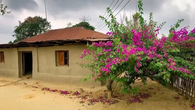 গ্রামীণ সৌন্দর্যের স্মৃতিচিহ্ন মাটির ঘর, শেরপুরে আজ বিলুপ্তপ্রায় গ্রামীণ সৌন্দর্যের স্মৃতিচিহ্ন মাটির ঘর, শেরপুরে আজ বিলুপ্তপ্রায়