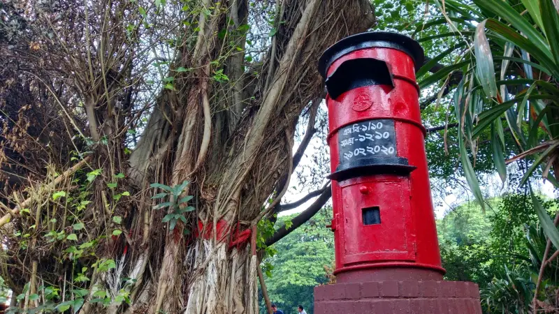 ইতিহাসের সাক্ষী; একটি বাক্স, অনেক গল্প ইতিহাসের সাক্ষী; একটি বাক্স, অনেক গল্প