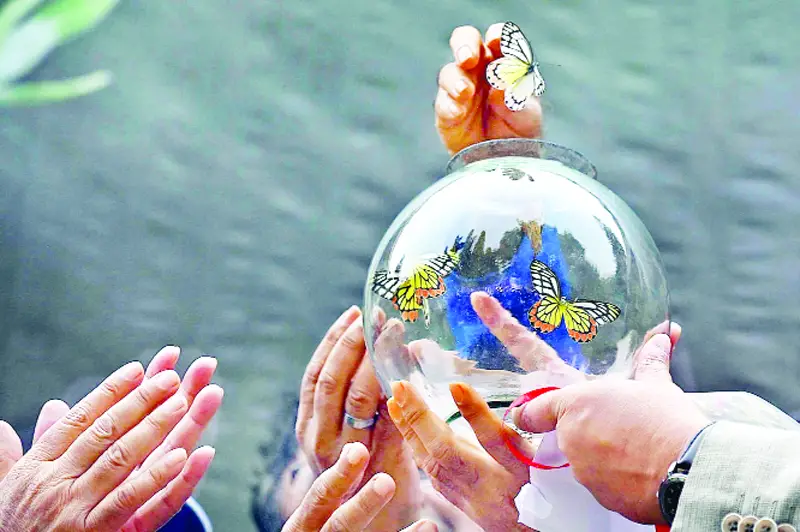 হিম বাতাসে রঙের ওড়াউড়ি প্রকৃতির রূপ নিল  মন কাড়ি