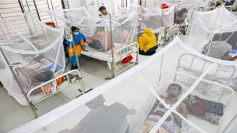 ডেঙ্গুতে একদিনে হাসপাতালে  ১৩৩৭ জন 