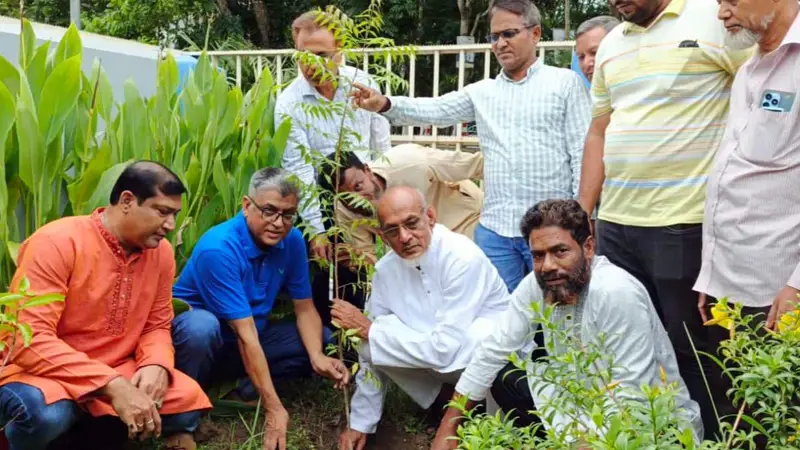 পিরোজপুরে বিশ্ব পরিবেশ দিবস উপলক্ষে বিএনপির বৃক্ষরোপণ পিরোজপুরে বিশ্ব পরিবেশ দিবস উপলক্ষে বিএনপির বৃক্ষরোপণ
