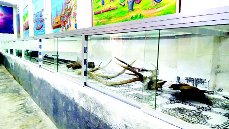রাখাইন জাদুঘর রাখাইন জাদুঘর