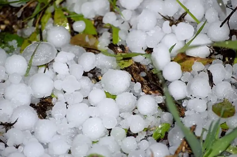 আট বিভাগেই শিলাবৃষ্টির দুঃসংবাদ