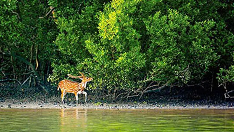 বাংলাদেশে শীতকালে ঘুরতে যাওয়ার সেরা ৫টি জায়গা বাংলাদেশে শীতকালে ঘুরতে যাওয়ার সেরা ৫টি জায়গা