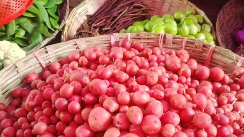 ৪০০ টাকার আলু এখন মাত্র ৬০ টাকায় ৪০০ টাকার আলু এখন মাত্র ৬০ টাকায়