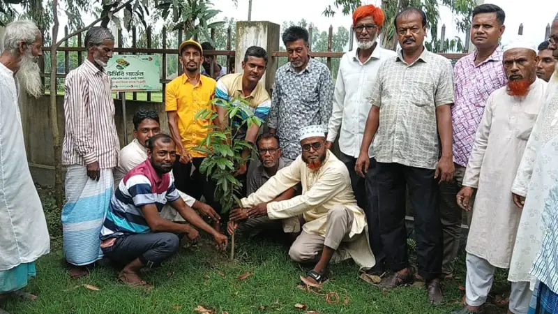 ধনবাড়ীতে কৃষক দলের আয়োজনে বৃক্ষরোপণ কর্মসূচি ধনবাড়ীতে কৃষক দলের আয়োজনে বৃক্ষরোপণ কর্মসূচি