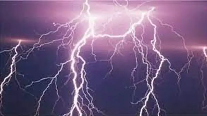 হালুয়াঘাটে ধান কাটতে গিয়ে বজ্রপাতে শ্রমিকের মৃত্যু হালুয়াঘাটে ধান কাটতে গিয়ে বজ্রপাতে শ্রমিকের মৃত্যু