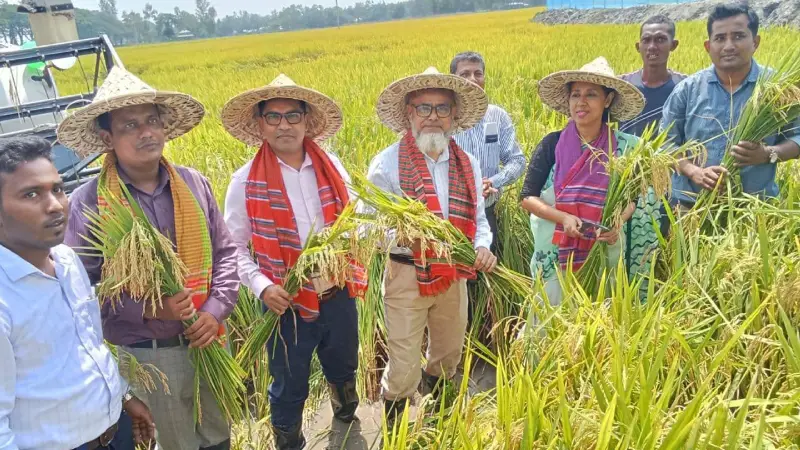 ঠাকুরগাঁওয়ে সমলয় পদ্ধতিতে বোরো ধান কাটা উৎসব ঠাকুরগাঁওয়ে সমলয় পদ্ধতিতে বোরো ধান কাটা উৎসব