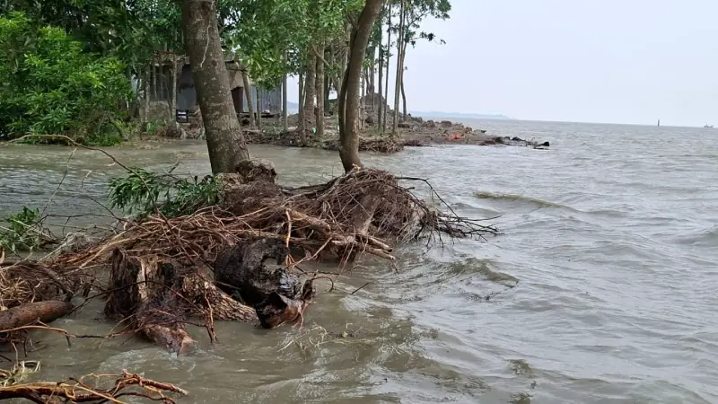 ঠিকাদারের খামখেয়ালীতে দুর্ভোগে উপকূলীয় লাখো মানুষ ঠিকাদারের খামখেয়ালীতে দুর্ভোগে উপকূলীয় লাখো মানুষ