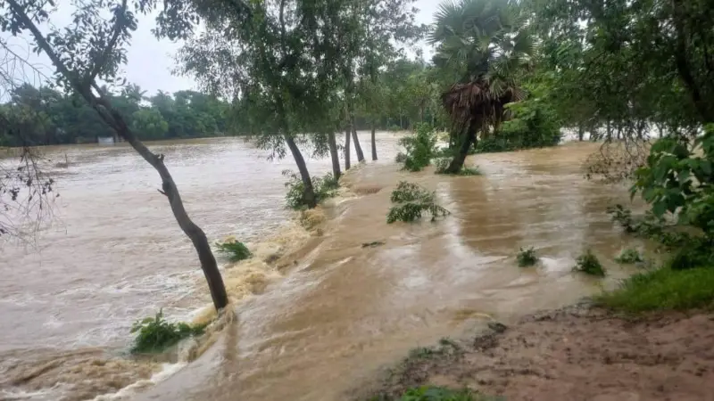 ফেনীর ফুলগাজী উপজেলার বন্যা পরিস্থিতি উন্নতির দিকে ফেনীর ফুলগাজী উপজেলার বন্যা পরিস্থিতি উন্নতির দিকে